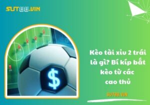 Kèo tài xỉu 2 trái là gì? Bí kíp bắt kèo từ các cao thủ