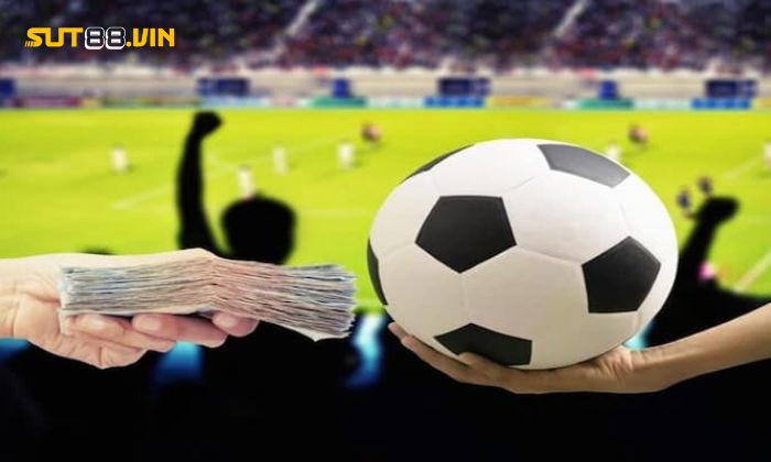 Lựa chọn giải đấu lớn và uy tín
