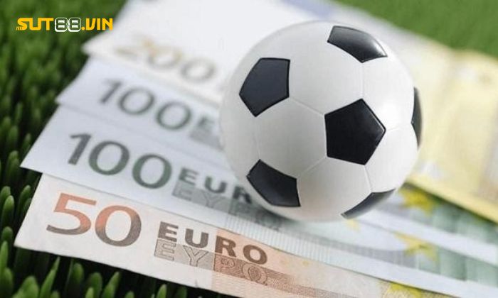 Học hỏi và trau dồi kiến thức thường xuyên