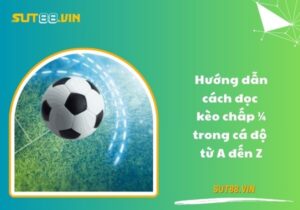Hướng dẫn cách đọc kèo chấp ¼ trong cá độ từ A đến Z