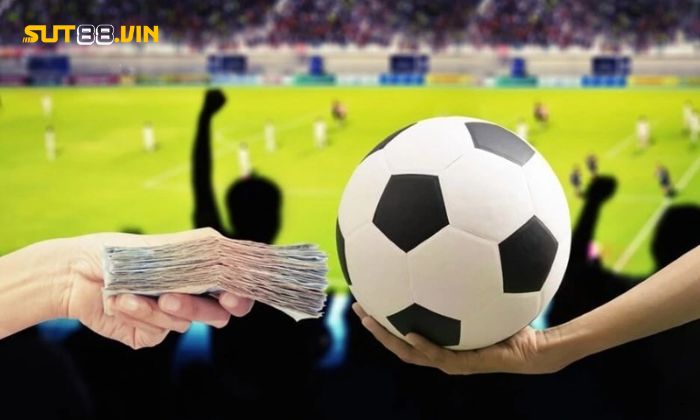 Nắm chắc tỷ lệ kèo