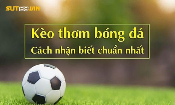 Phân tích giải đấu giúp người chơi dễ dàng nhận biết kèo thơm