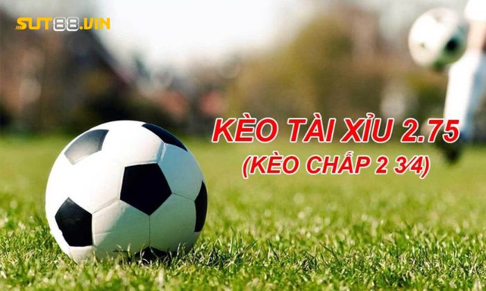 Giải đáp thắc mắc kèo tài xỉu 2.75 là gì cho người mới