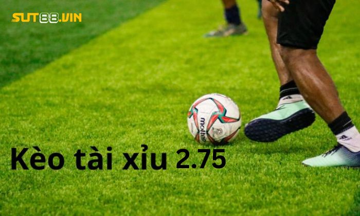 Cách đọc kèo tài xỉu 2.75 chi tiết, dễ hiểu