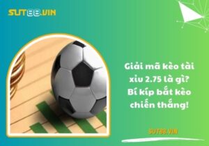 Giải mã kèo tài xỉu 2.75 là gì? Bí kíp bắt kèo chiến thắng