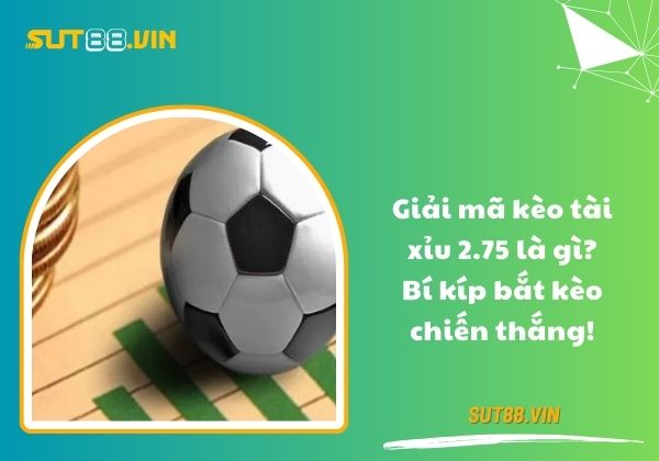 Giải mã kèo tài xỉu 2.75 là gì? Bí kíp bắt kèo chiến thắng